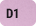 D1 - orchid